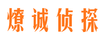 黟县市场调查